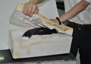vacuum casting